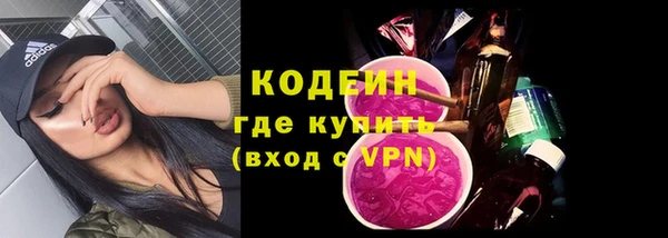 индика Липки
