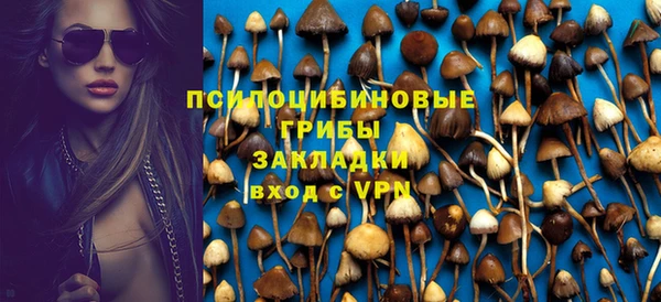 мет Алексин
