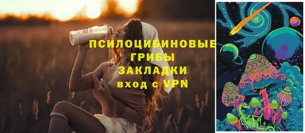 индика Липки